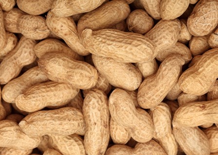 GroundNut / Peanut